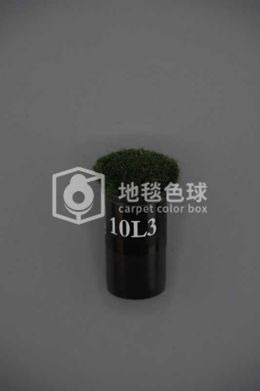 10L3