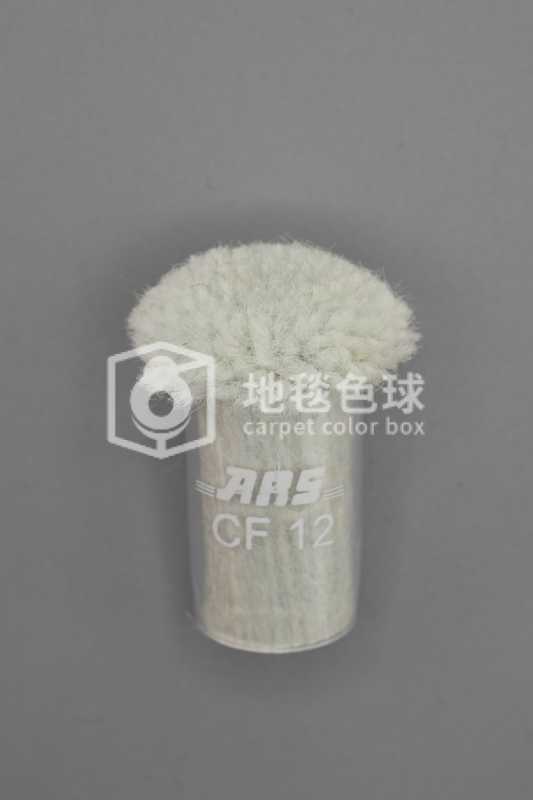 ARS CF12