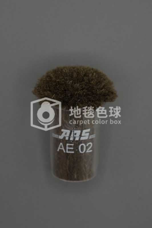 ARS AE02