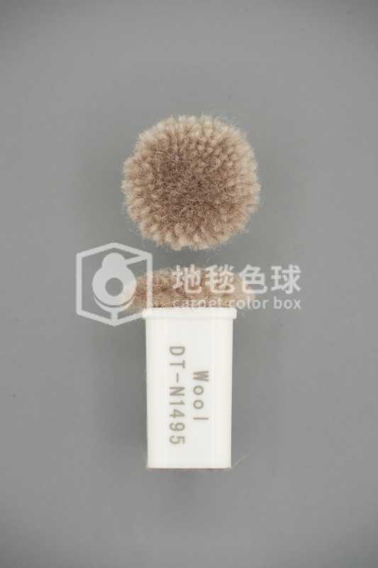 DT N1495