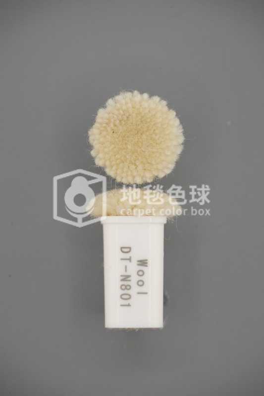 DT N801