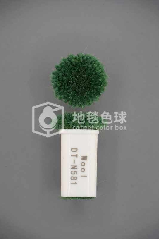 DT N581