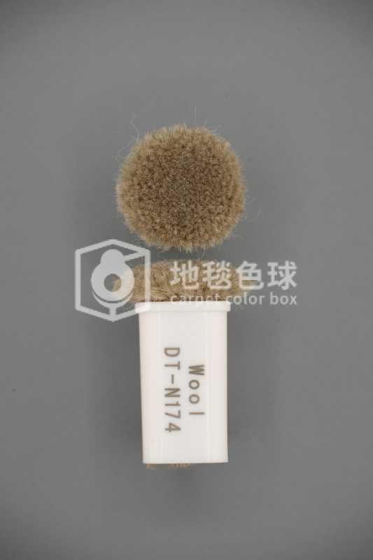 DT N174