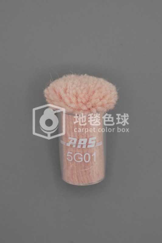 ARS 5G01