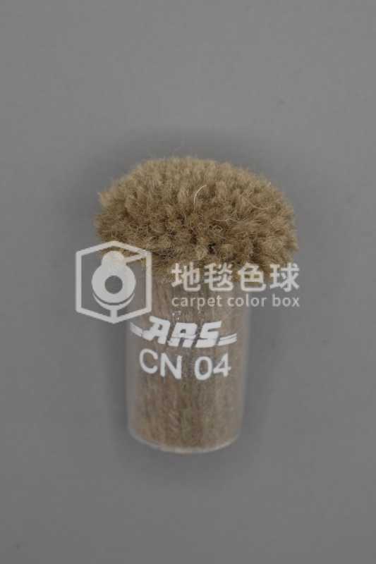ARS CN04
