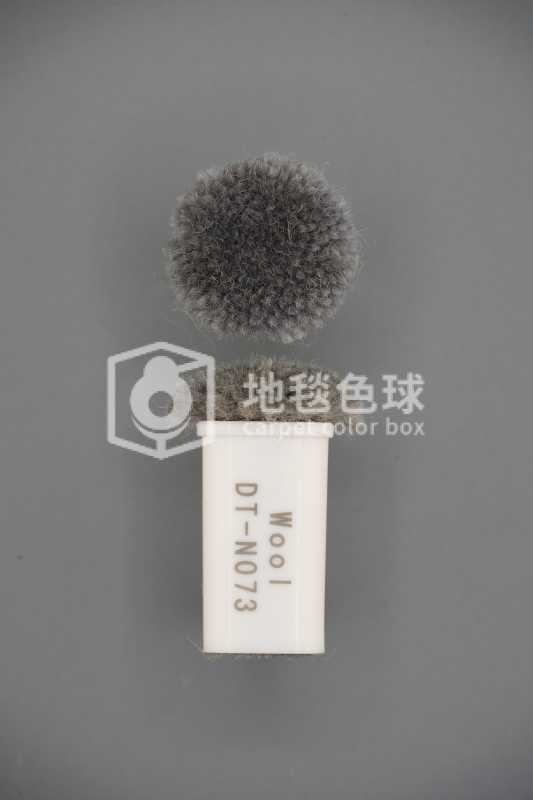 DT N073