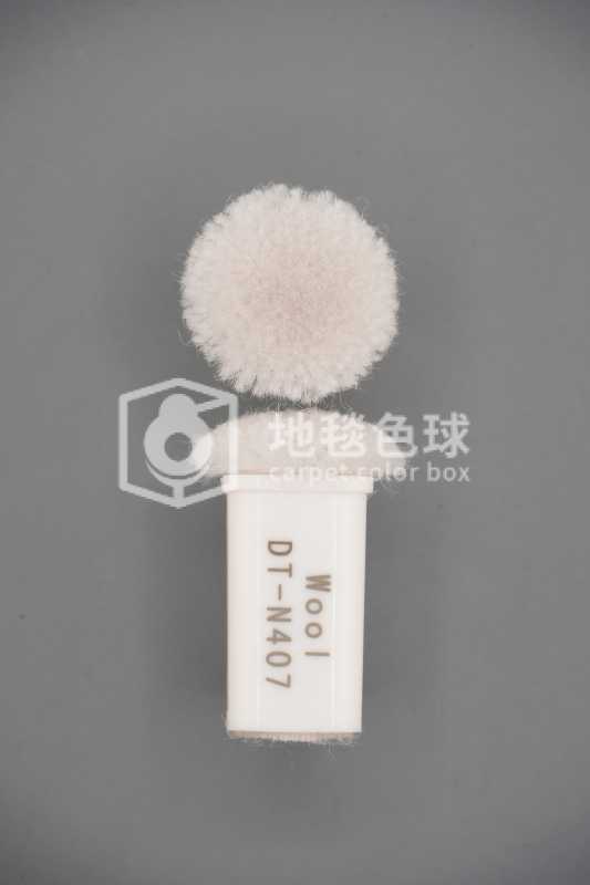 DT N407
