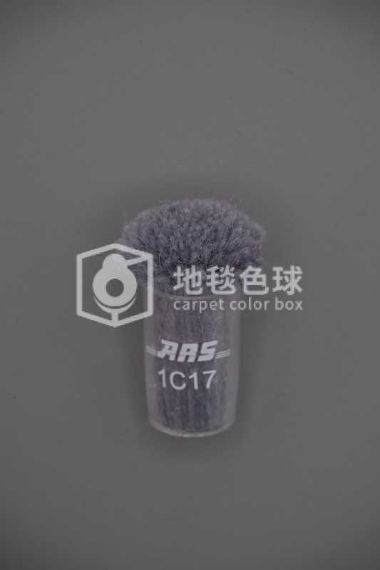ARS 1C17