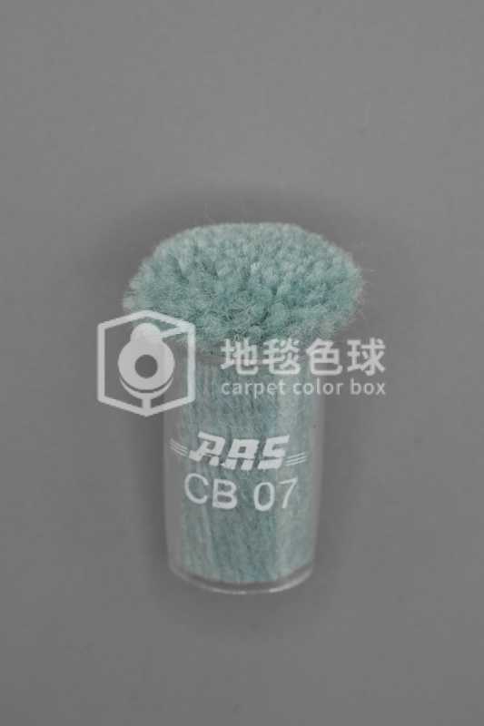 ARS CB07