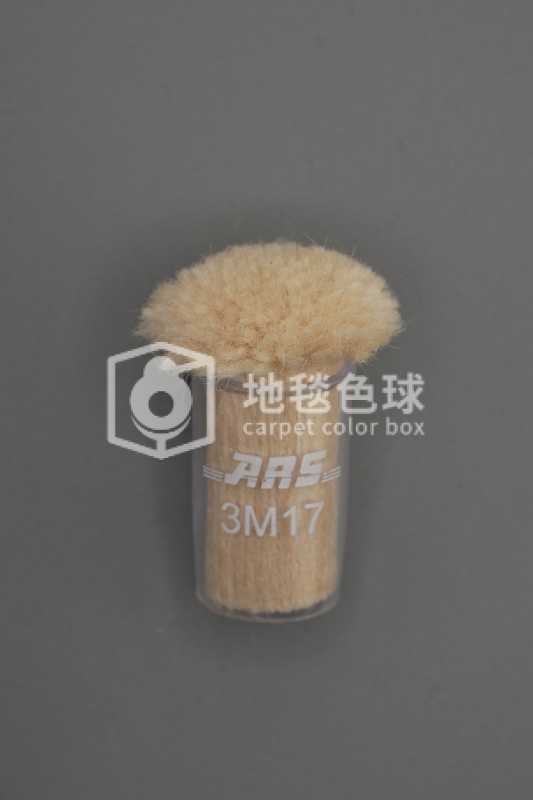 ARS 3M17