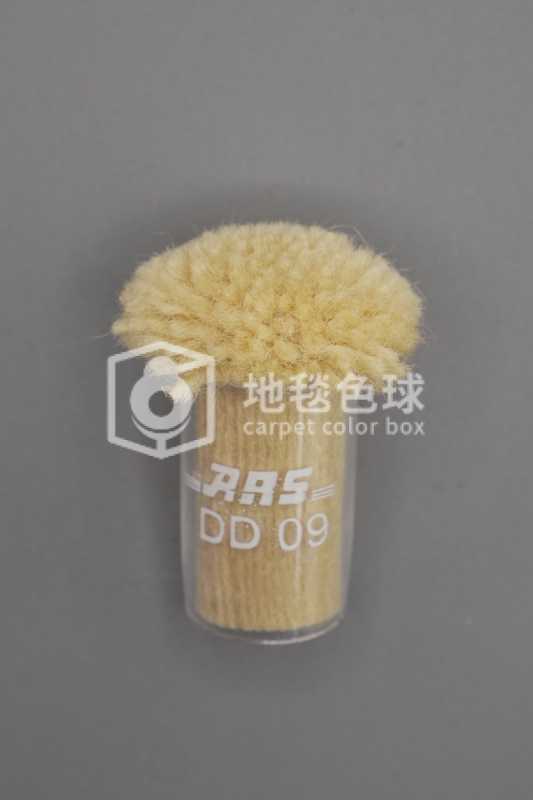ARS DD09