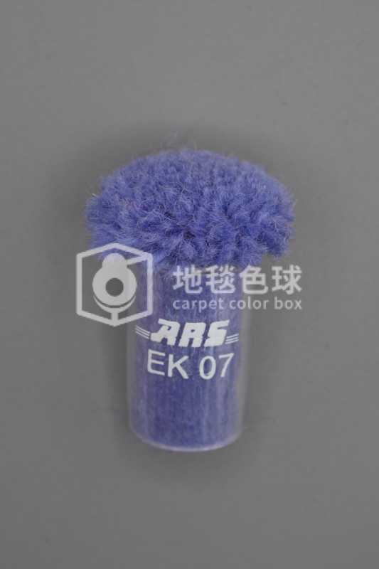 ARS EK07