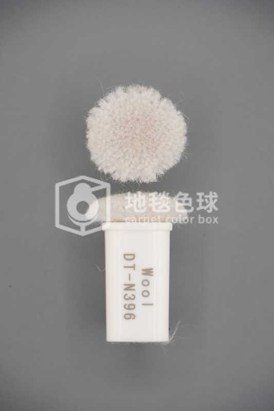 DT N396