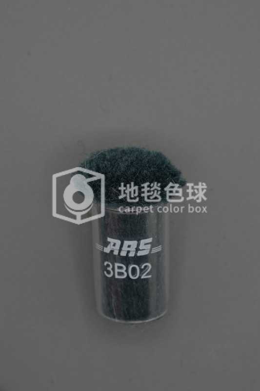 ARS 3B02