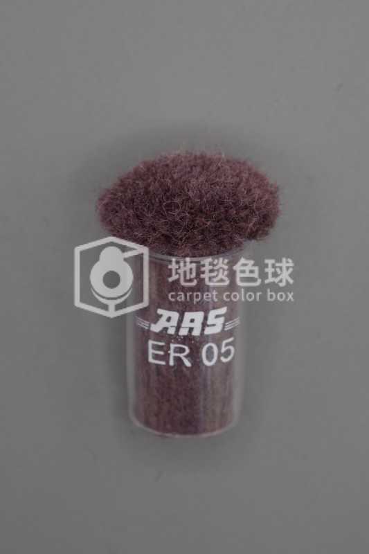 ARS ER05