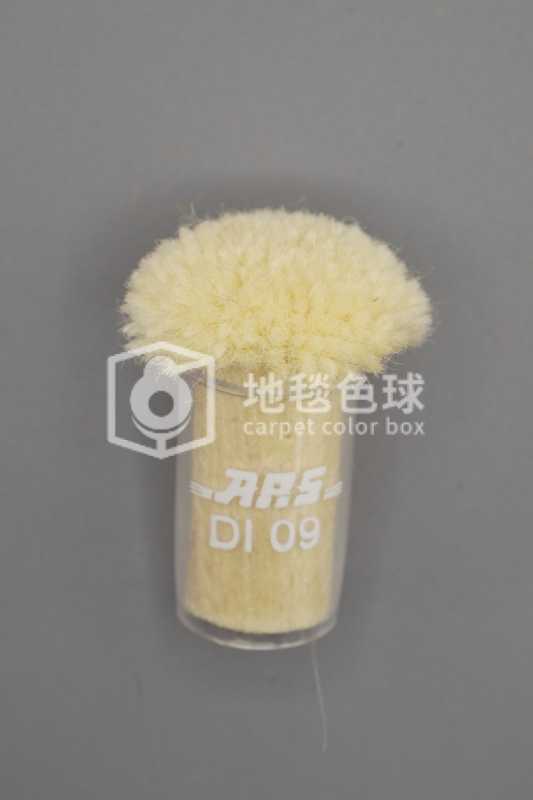 ARS DI09
