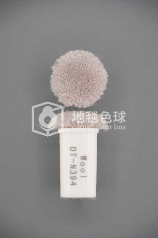 DT N394