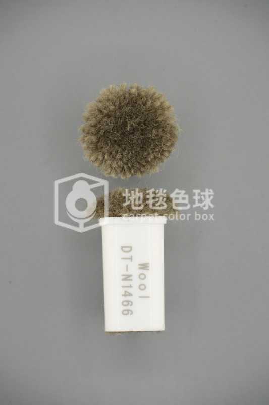 DT N1466