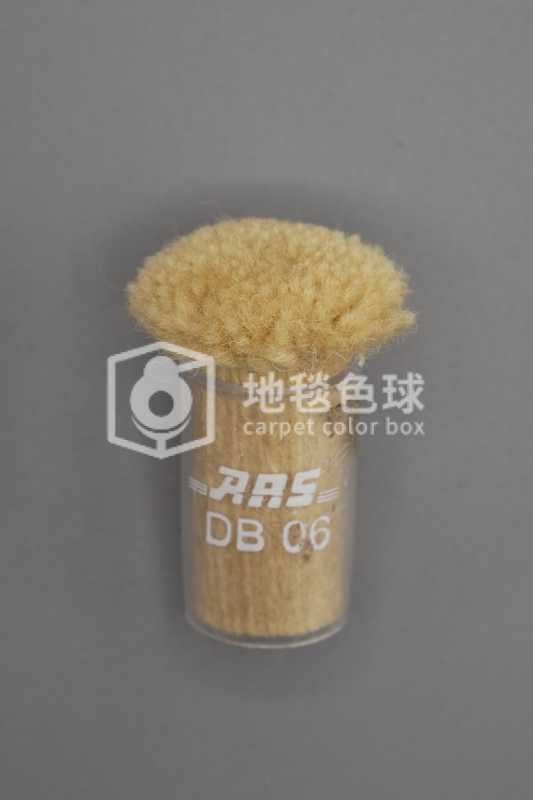 ARS DB06
