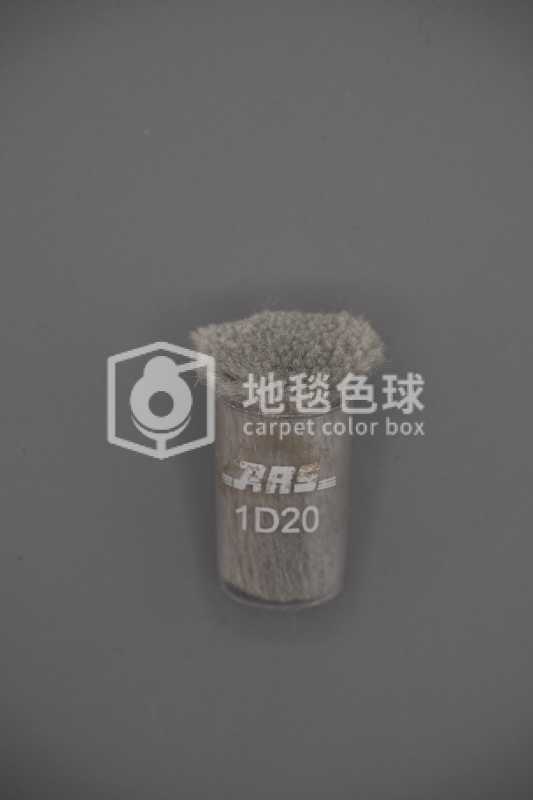 ARS 1D20