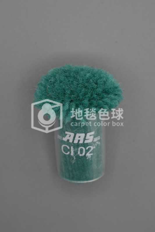 ARS CI02