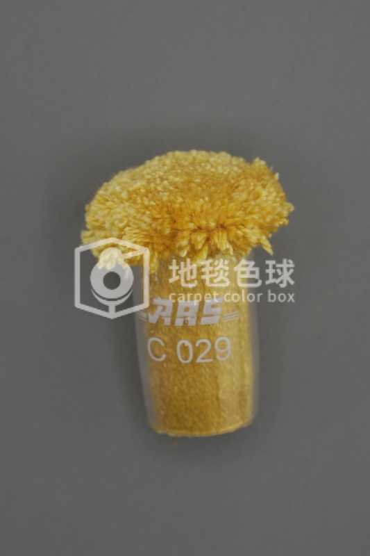 ARS C029