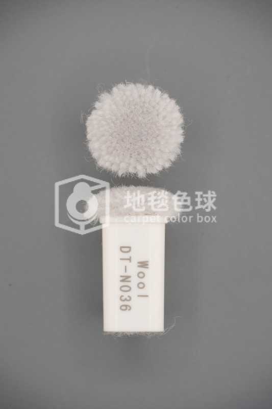 DT N036
