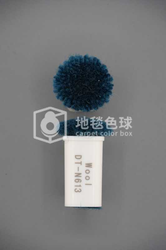 DT N613