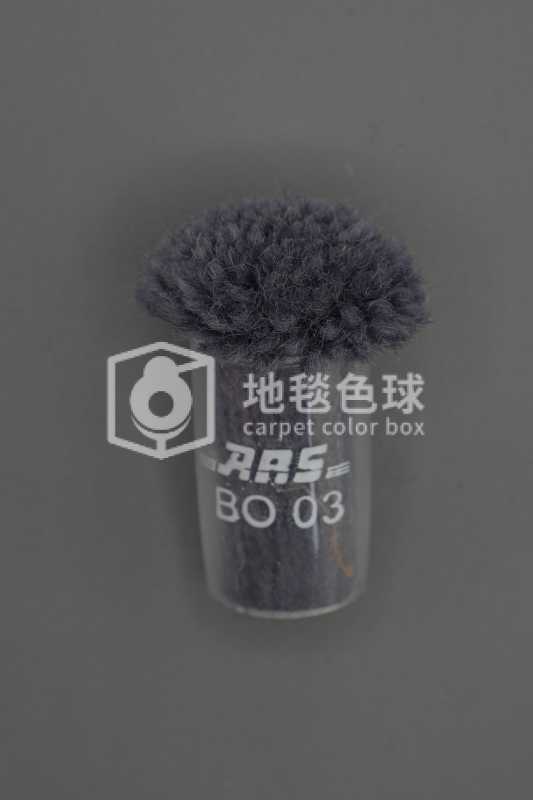 ARS BO03